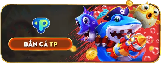 Quản lý đối tác 5x5bet